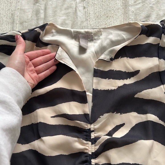 H and M Zebra Dress - Picture 9 of 11